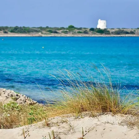 Attico Le Fleur - Il Mare, Gallipoli Ed Il Salento A Portata Di Mano *