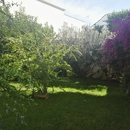 Attico Le Fleur - Il Mare, Gallipoli Ed Il Salento A Portata Di Mano Taviano (Lecce)